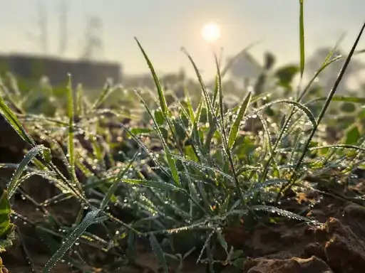 पहाड़ी हवा के कारण पड़ेगी कड़ाके की ठंड, जयपुर-चूरू में सीजन का सबसे कम तापमान