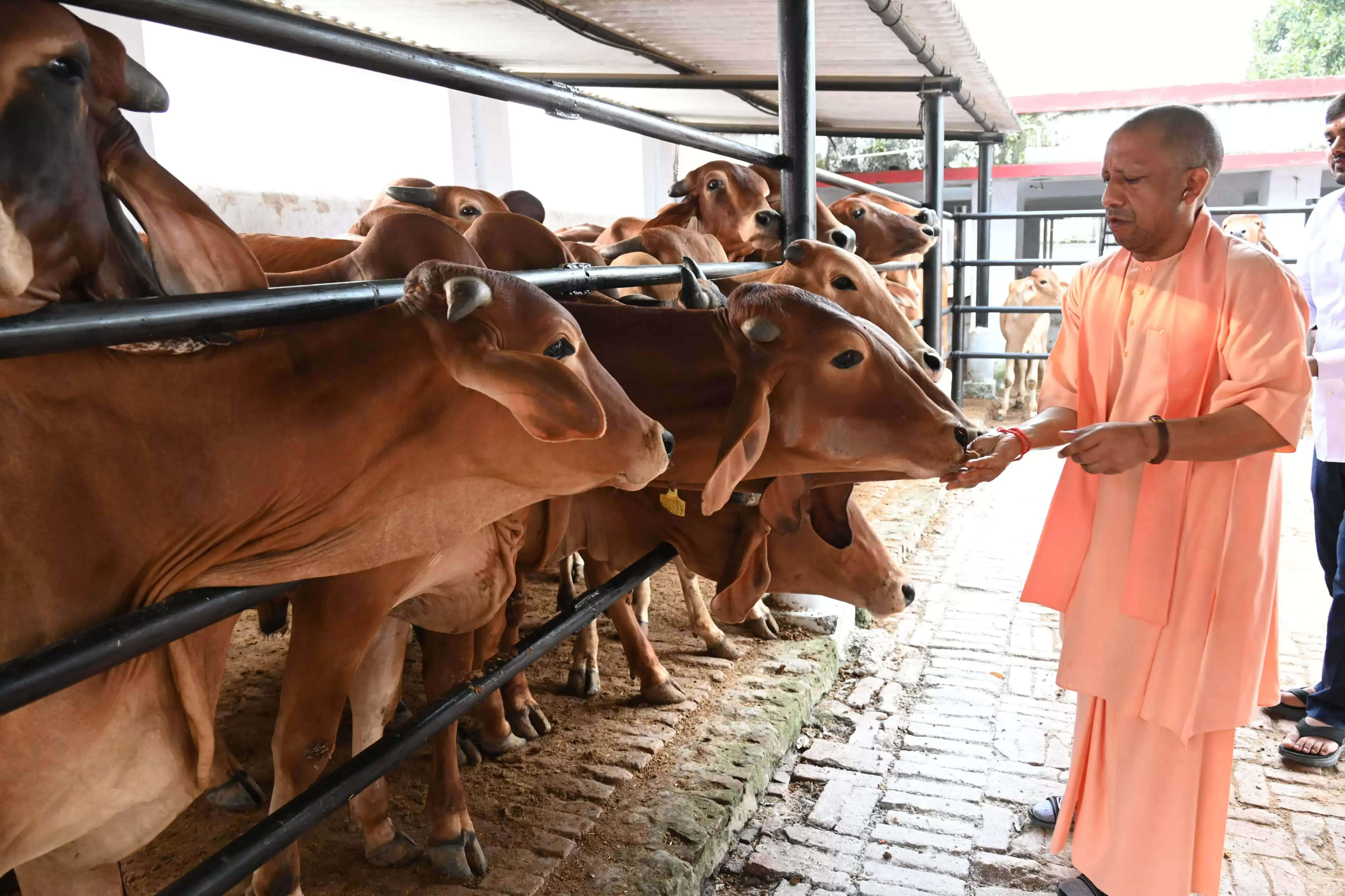 हॉस्पिटल में भर्ती कराकर इस्टीमेट मंगाइए, इलाज का खर्च सरकार देगी : मुख्यमंत्री याेगी