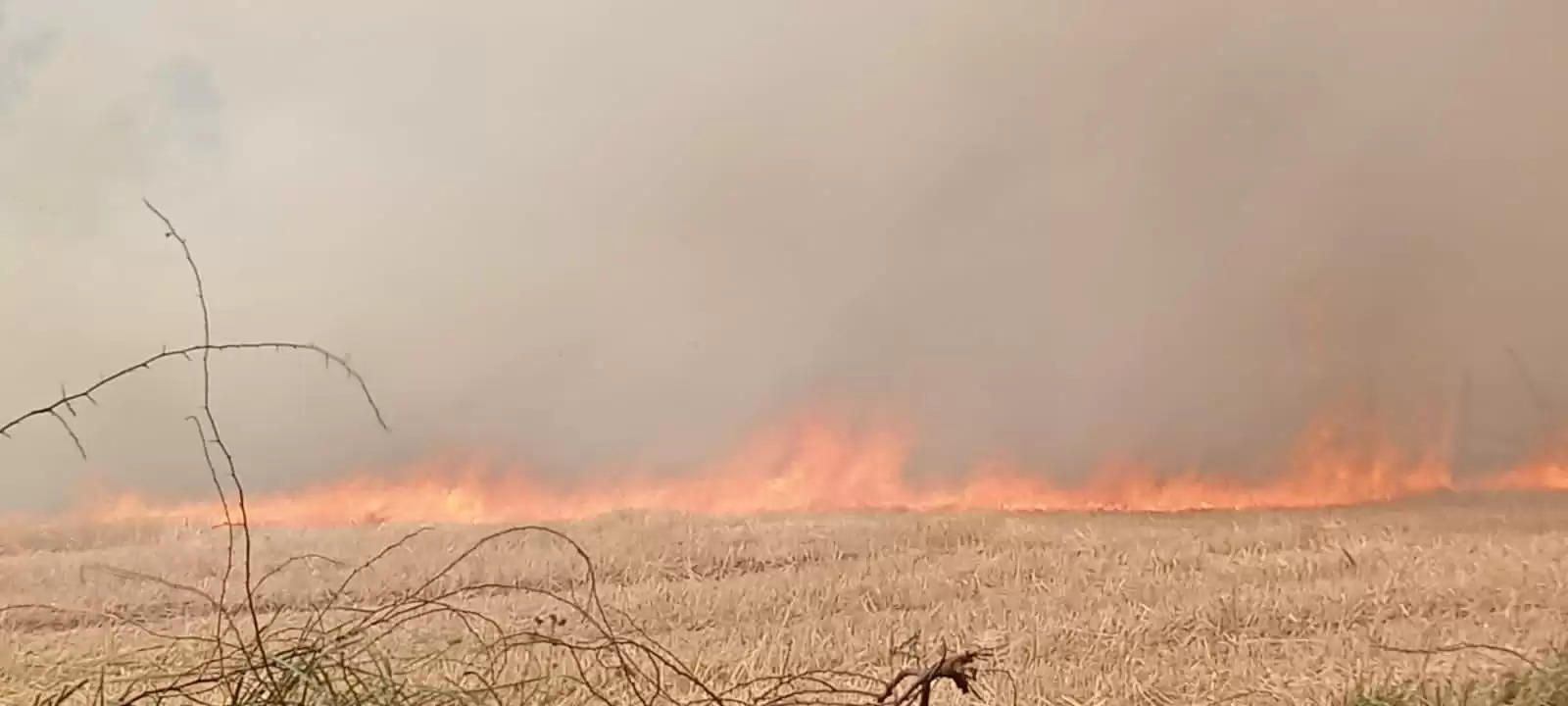 उन्नाव में आग की घटना से सैकड़ो बीघा खाक हुई फसल