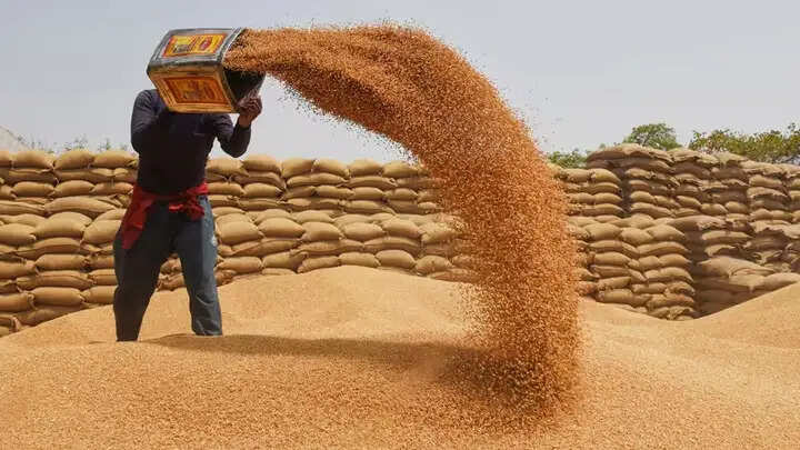 मप्र में 100 लाख मीट्रिक टन लक्ष्य के विरुद्ध हुई 104 लाख मीट्रिक टन से अधिक गेहूं की खरीदी