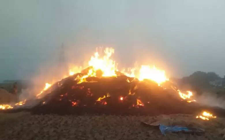 खलिहान में आग से पांच बीघा धान राख, दो जगहों पर किसानों की मेहनत खाक