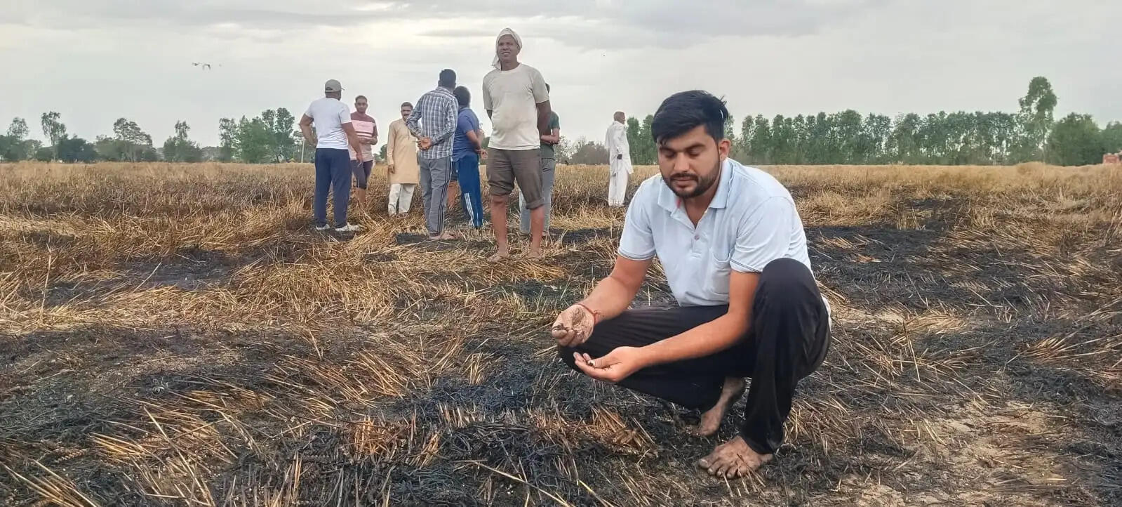 जींद : आग लगने से तीन एकड़ गेहूं की फसल जली