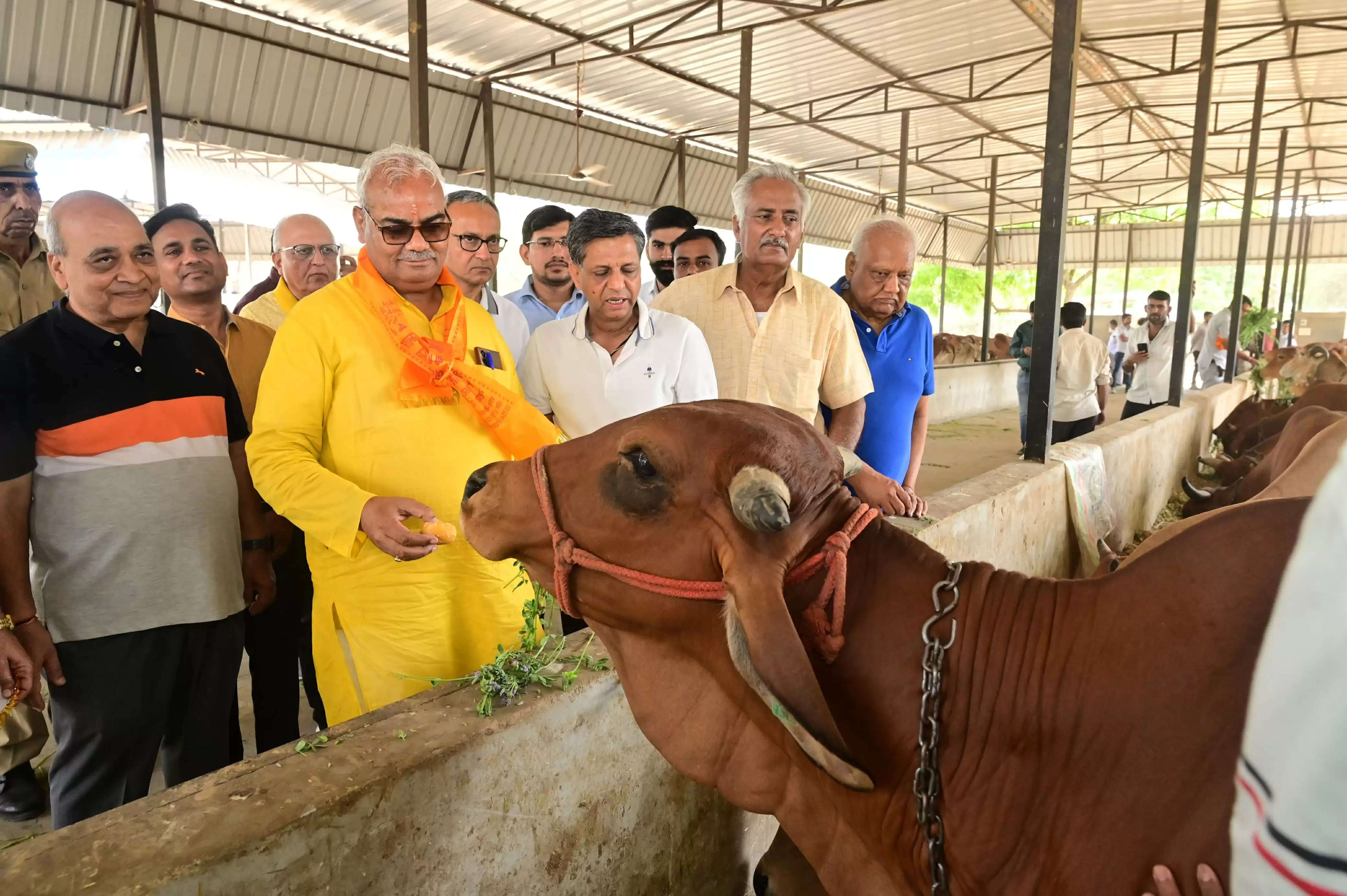 शिक्षा मंत्री ने किया वृक्षारोपण, गायों को खिलाया गुड़ व चारा