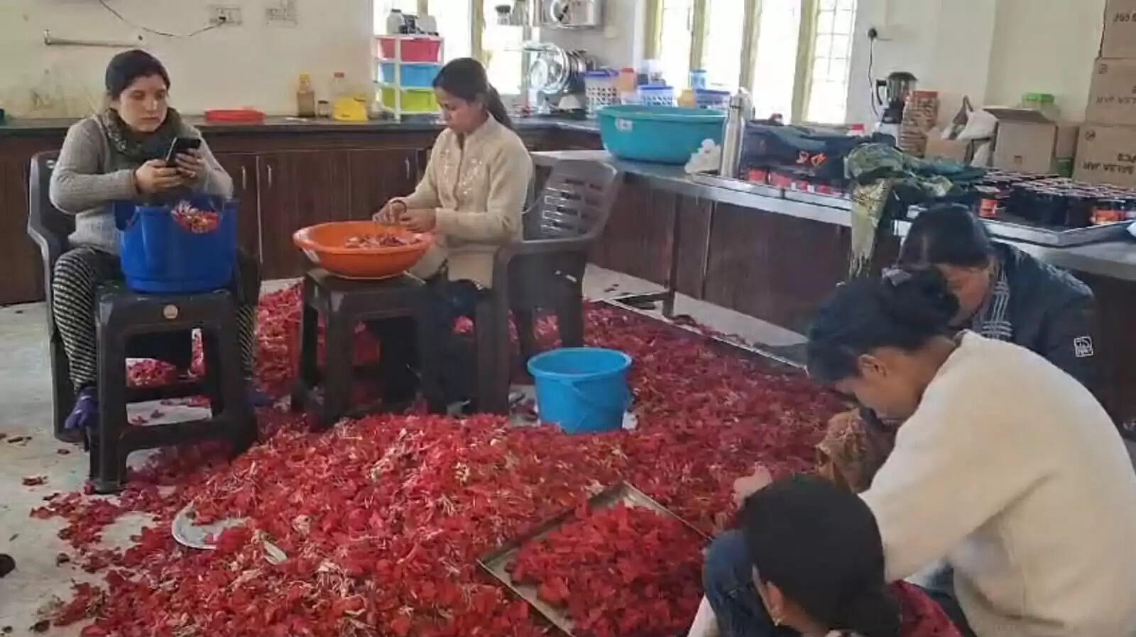 पौड़ी जिले में बुरांस के फूल बने ग्रामीण महिलाओं की आर्थिकी के जरिया