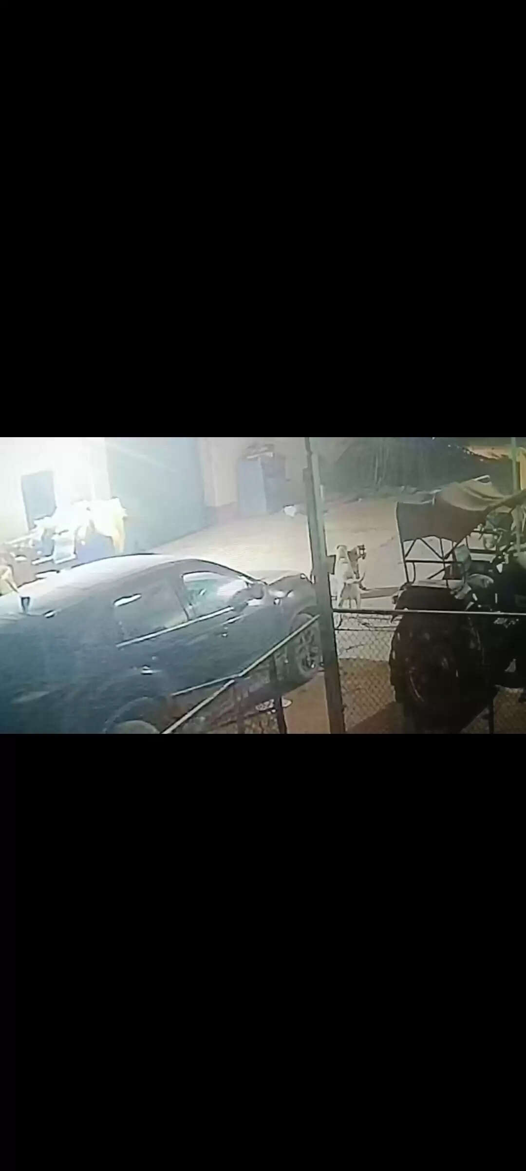 धमतरी : नगरी में कुत्ते ने तेंदुए को खदेड़ा, रोमांचक दृश्य सीसीटीवी में कैद