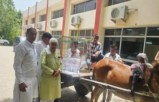 सोनीपत: पिंजरे में बैठ जंजीरों से बंधे घोड़ा गाड़ी में सवार होकर बैठक में पहुंचे जिला पार्षद