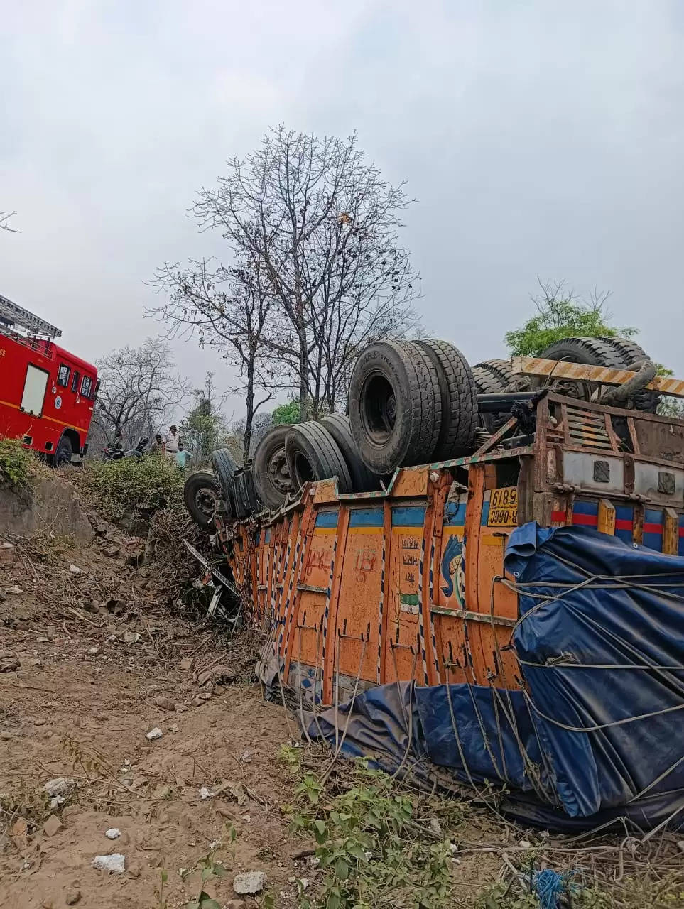 दाल लदा ट्रक खाई में गिरा, चालक की मौत