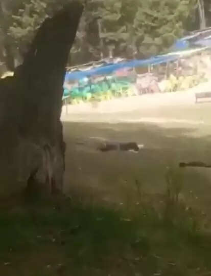 (अपडेट) पहलगाम आतंकी हमले में कई लोगों के मारे जाने की आशंका, कम से कम 20 लोग घायल