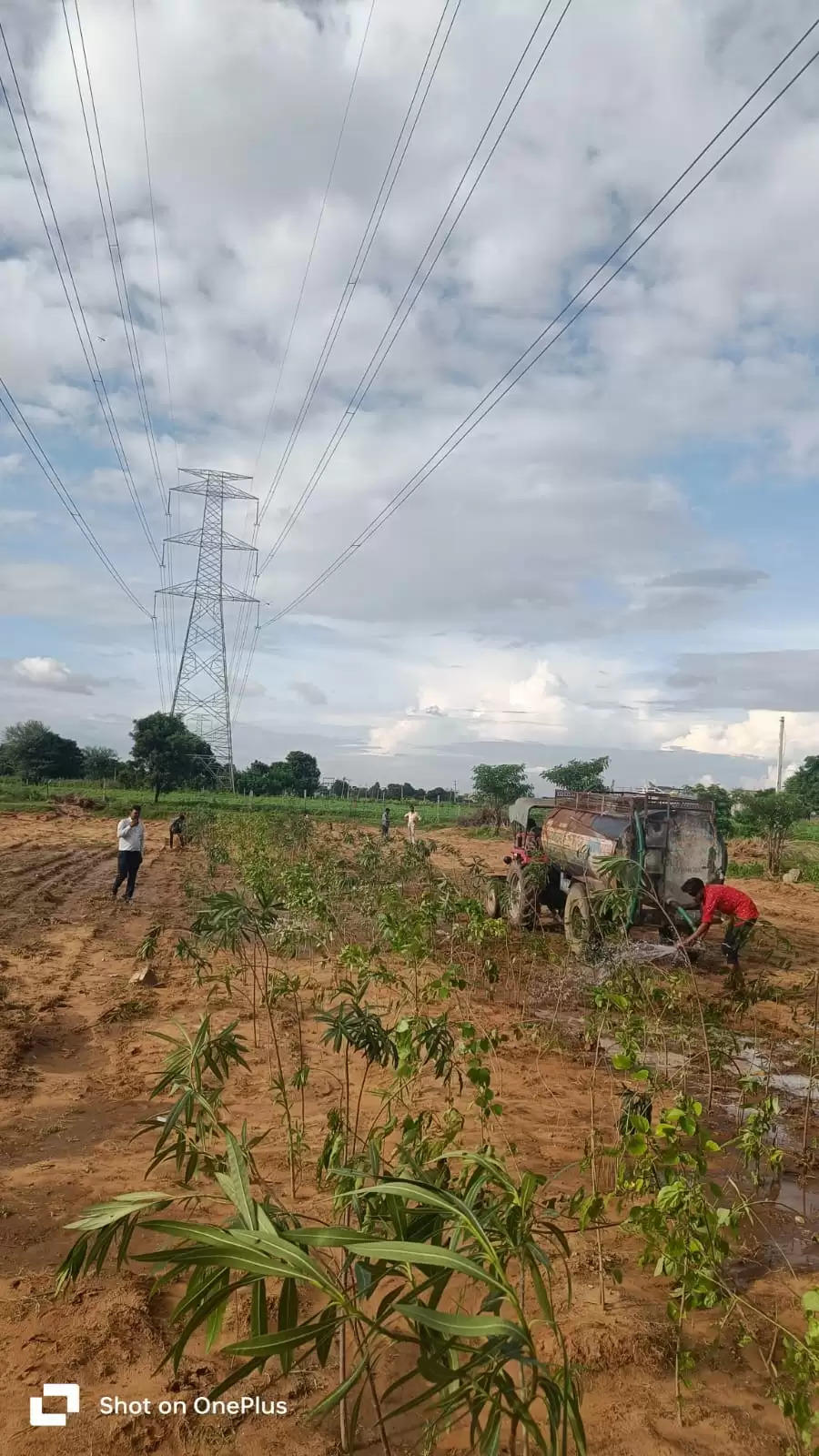 जेडीए चार स्थानों पर लगाएगा 60 हजार पौधे