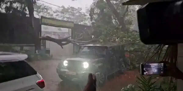 राजधानी पटना में आयी आंधी-बारिश ने मचायी तबाही,कई जगह पेड़ गिरने से यातायात बाधित