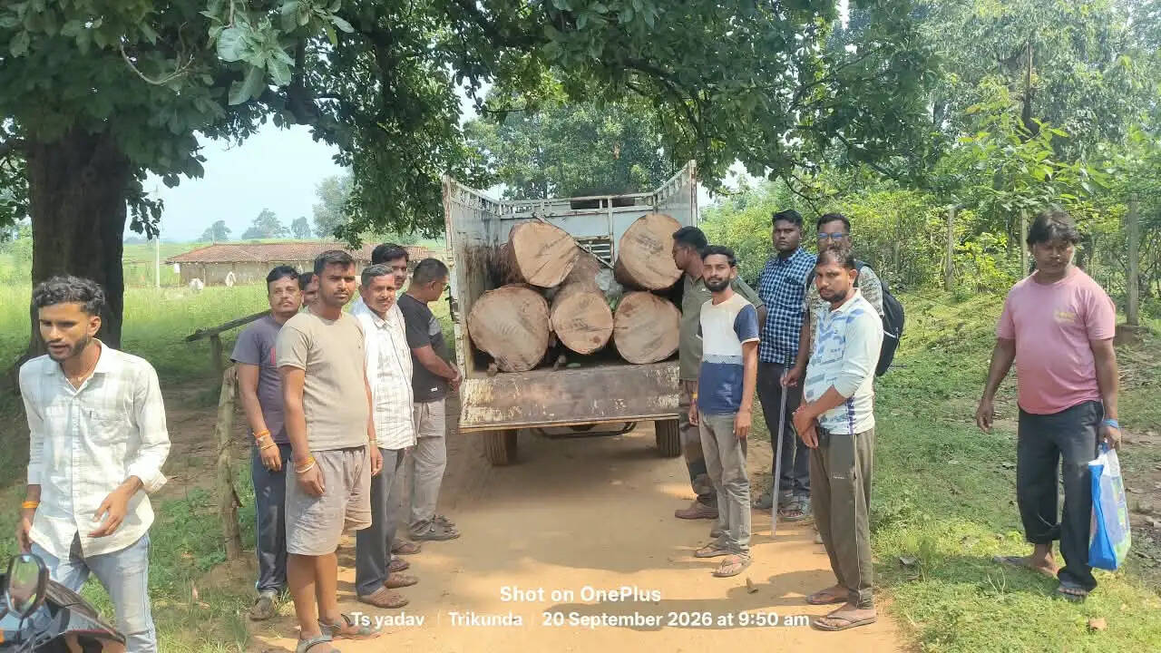 खीरा लोड करने के बहाने जंगल में बुलाया वाहन, साल के लट्ठे लोड करते वन विभाग ने पकड़ा