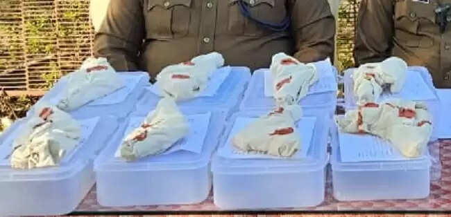 मप्र पुलिस की प्रभावी कार्रवाई, 15 दिन में विभिन्न जिलों से कुल 53 अवैध हथियार जब्त