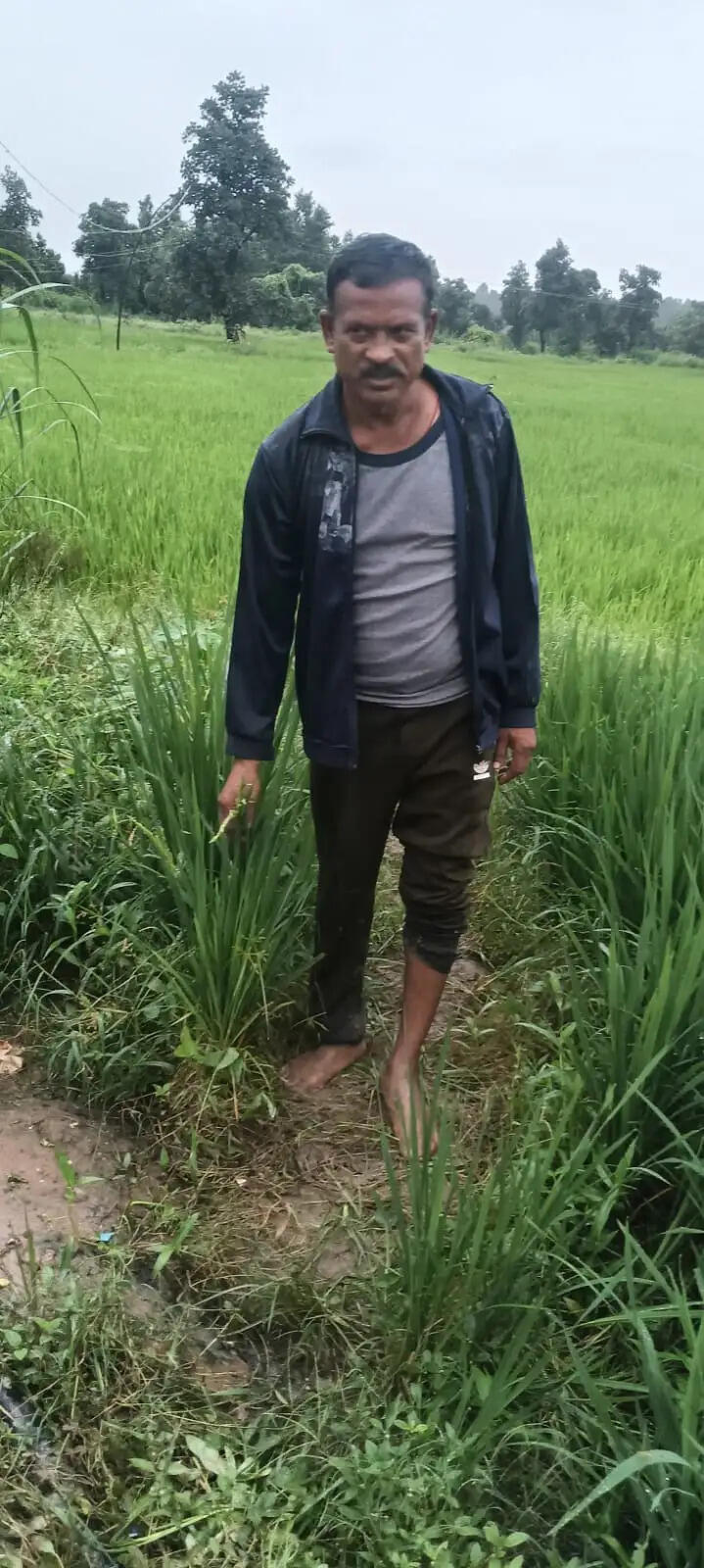 अनूपपुर: 23 दिन बाद दोनों हाथी छत्तीसगढ़ की ओर लौटे