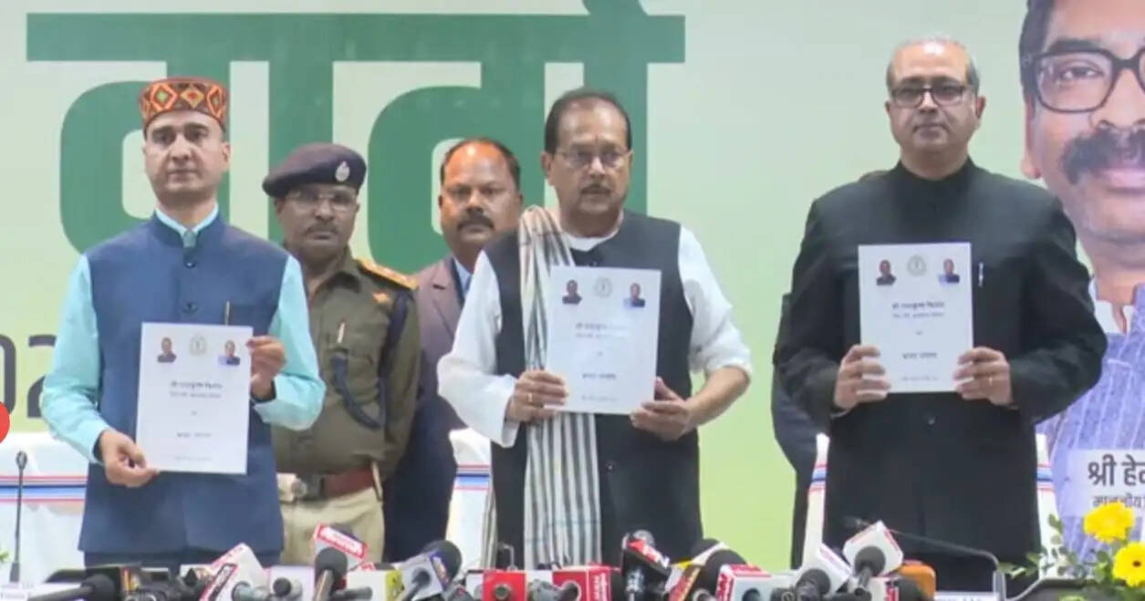 बजट में शिक्षा, स्वास्थ्य, रोजगार के साथ आत्मनिर्भर बनाने पर फोकस : राधाकृष्ण