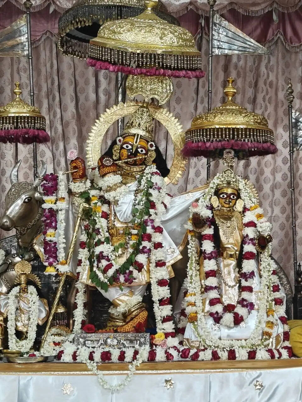 श्वेत लप्पा पोशाक और बड़े मुकुट में सजे गोविंद देव जी