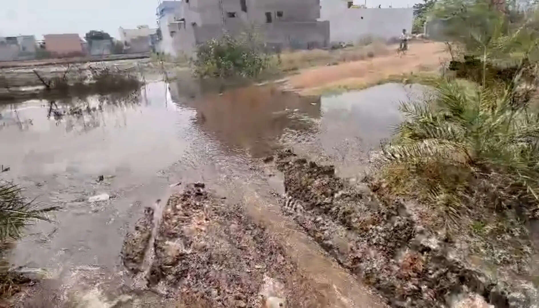 निस्तारी पानी बना मुसीबत, फौजी कालोनी में जलभराव