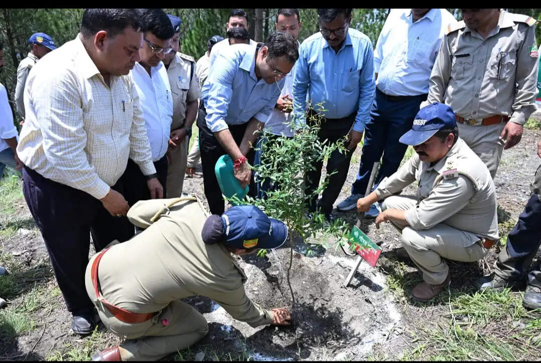 हरेला महोत्सव:- चमोली मे 85 हजार पौधों का होगा रोपण