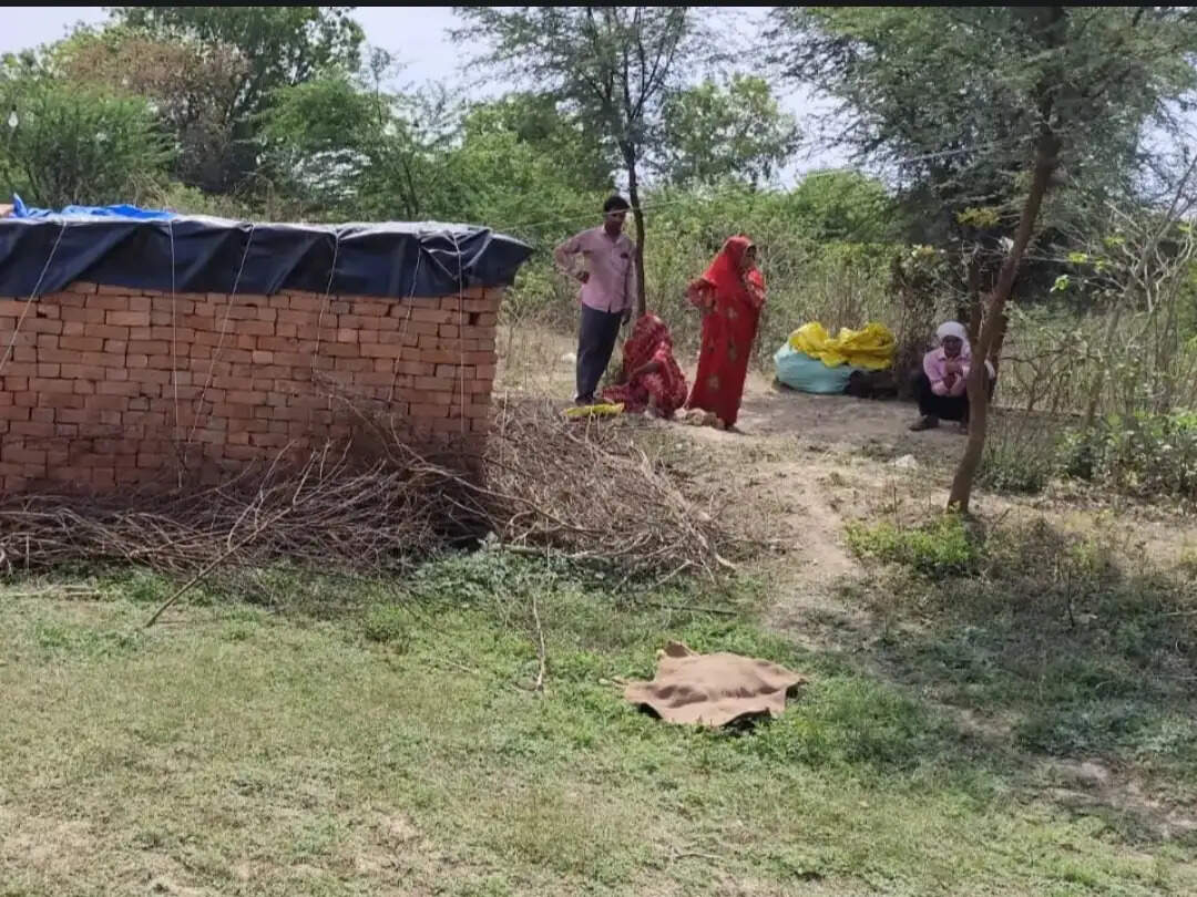 औरैया जिले में झोपड़ी के बाहर बंधे दो बकरे और चार बकरियों को जंगली जानवरों ने नोच डाला