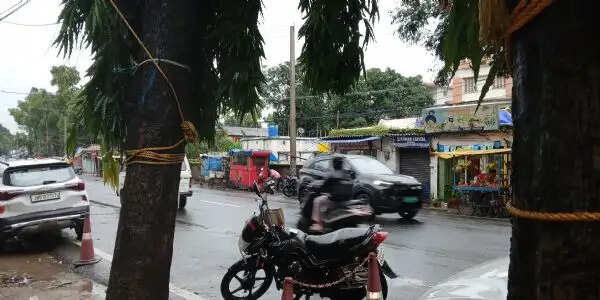 झारखंड में सामान्य के करीब पहुंची मानसूनी बारिश, अगले दिनों में भारी बारिश से मिलेगी राहत
