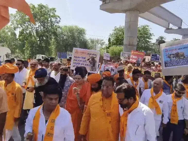 गौ रक्षा कानून की मांग को लेकर उदयपुर में आक्रोश रैली, कलेक्टर को सौंपा ज्ञापन