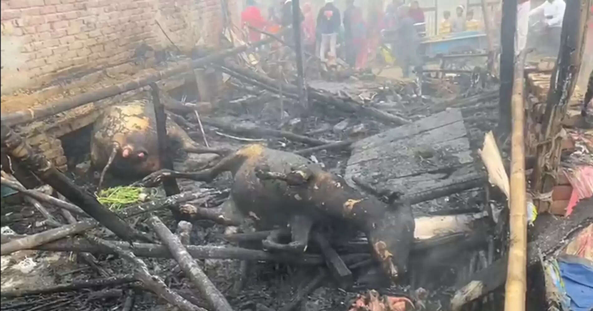 छप्पर में आग लगने से पशुओं की मौत