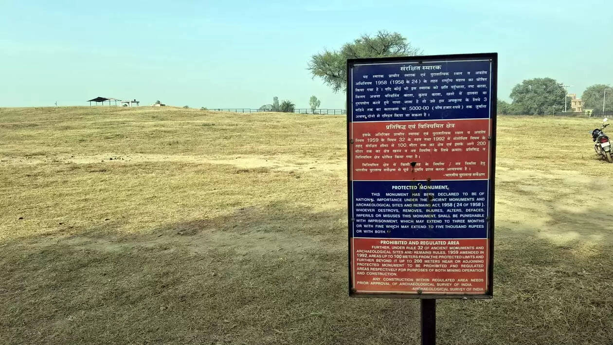 हिसार : राखीगढ़ी में जनवरी से होगी टीलों पर खुदाई शुरू