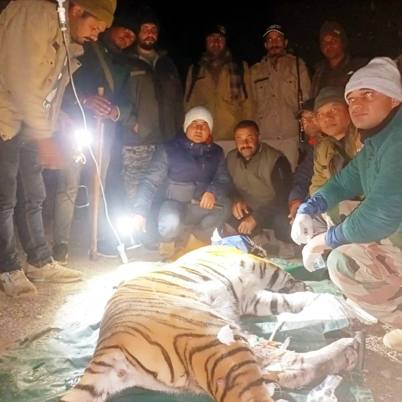 अपडेट...महिलाओं की मौत के बाद आखिर पकड़ी गयी मादा गुलदार, नरभक्षी होने की पुष्टि अभी शेष