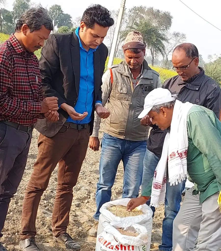 बिहार के बेगूसराय में शुरू हुई नवपाषाण काल के ''खपली'' गेहूं की खेती