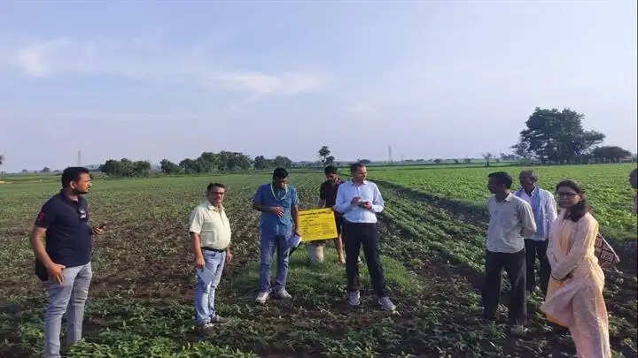 विदिशाः केन्द्रीय अधिकारियों ने दलहन आत्मनिर्भर मिशन के अंतर्गत उड़द प्रदर्शन का किया निरीक्षण