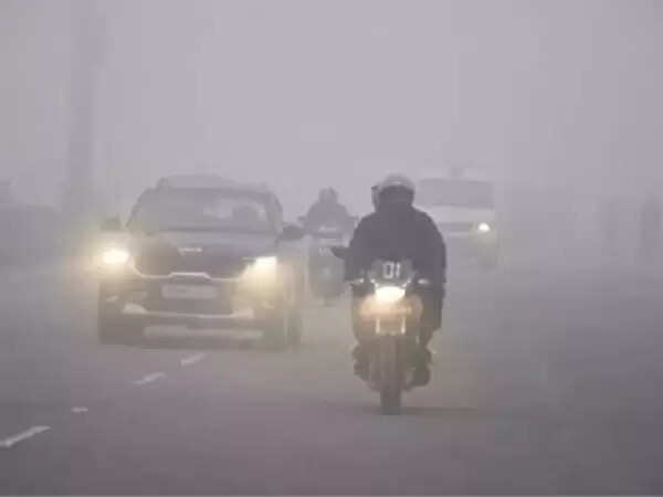 मध्‍य प्रदेश में शीतलहर और कोहरे का डबल अटैक, आज 13 जिलों में अलर्ट, पारा 5 डिग्री से नीचे