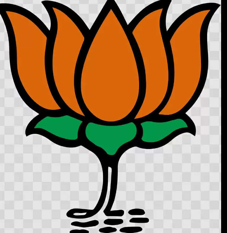 (वार्षिकी-2025): निकाय हो या पंचायत चुनाव, हर जगह हुई भाजपा की जय