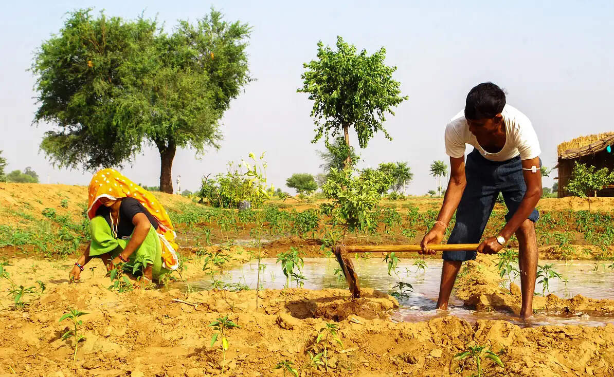 हर ग्राम पंचायत में होंगे महिला कृषक प्रशिक्षण