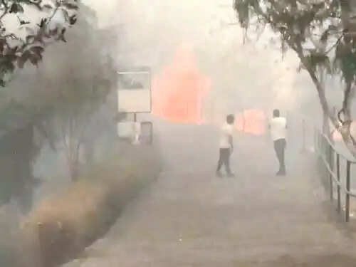 बायोलॉजिकल पार्क में आग, लोग जान बचाकर भागे
