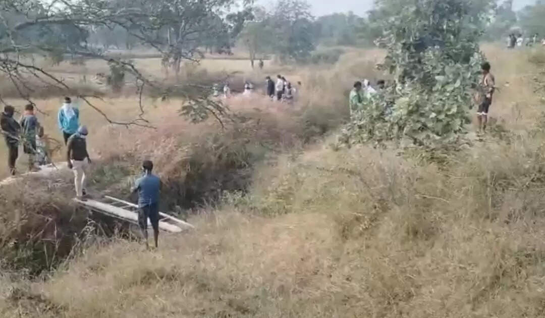 कोरबा में खेत से मिला अधजला शव, गुप्तांग क्षत-विक्षत, पुलिस जांच में जुटी