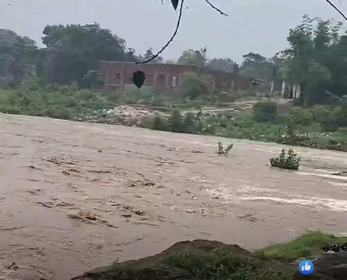 लगातार हो रही बारिश से दामोदर-भैरवी नदी में आया उफान