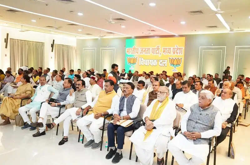 संगठन की ताकत बढ़ाने के लिए कार्यकर्ताओं से नियमित संवाद करें विधायकः डॉ. मोहन यादव