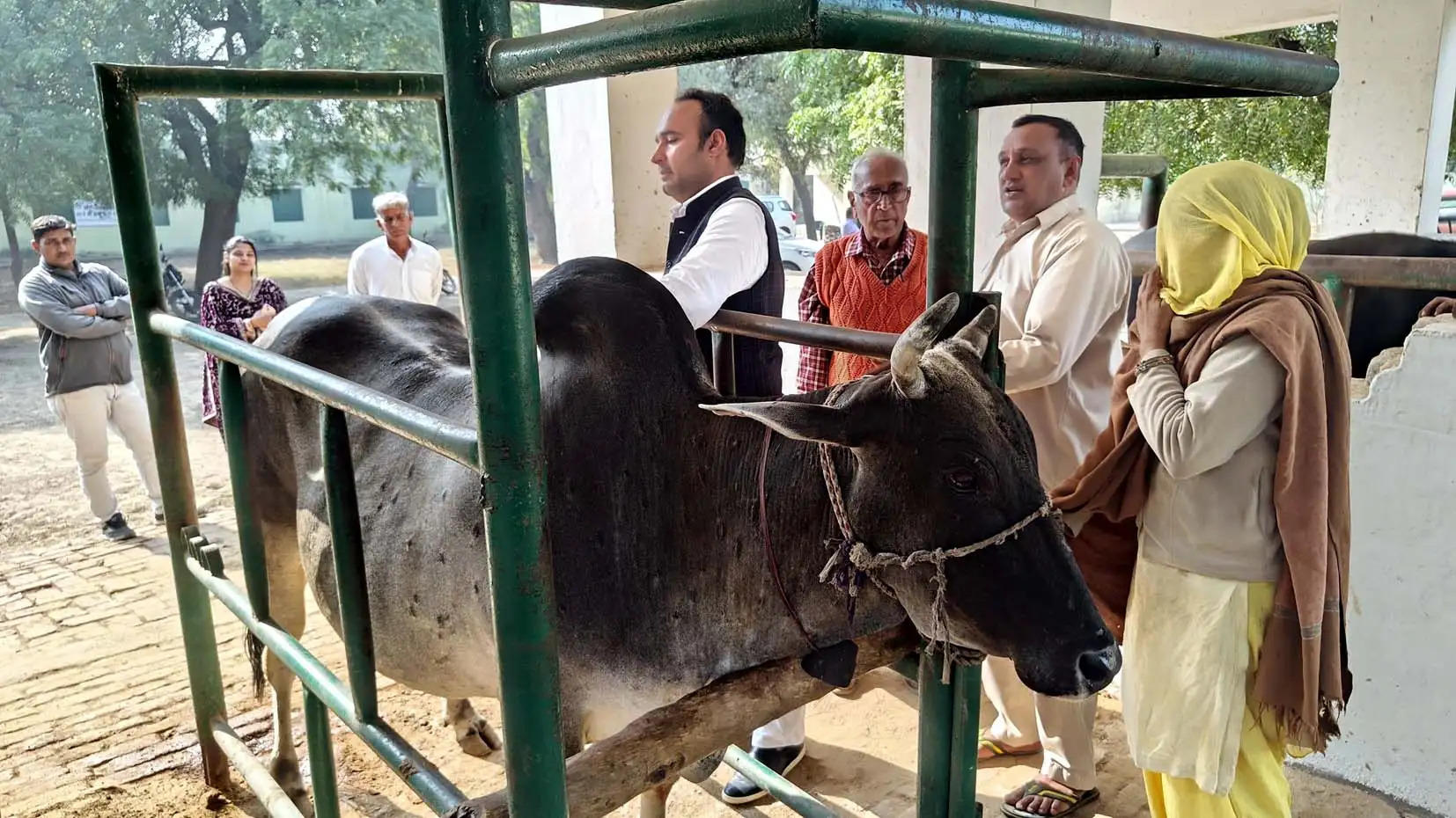 हिसार: स्वस्थ पशुधन किसानों की आर्थिक व शारीरिक मजबूती का आधार: वीरेंद्र चौधरी