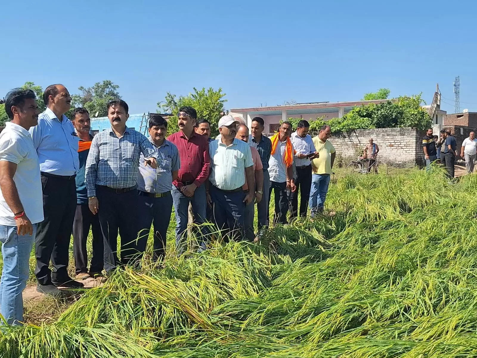 मुख्य कृषि अधिकारी कठुआ ने बारिश से प्रभावित हुई फसल की स्थिति का आकलन किया