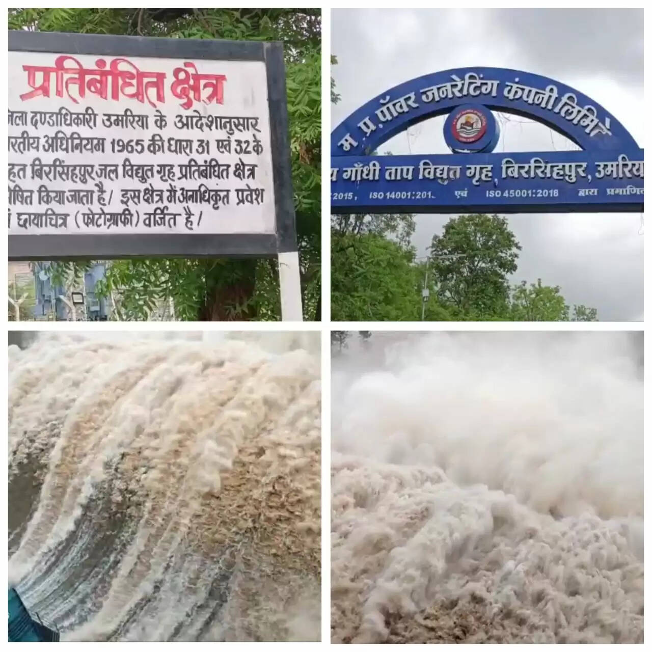 मप्र में भारी बारिश के चलते जोहिला डैम के चारो गेट खुले, नजारा देखने जुटी भीड़