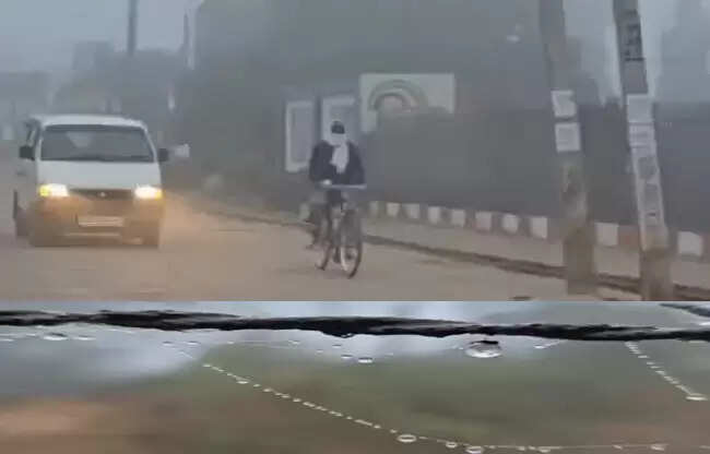 सोनीपत में कोहरे का असर, जनजीवन प्रभावित