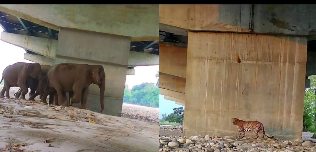 दिल्ली–देहरादून इकोनॉमिक कॉरिडोर में पर्यावरण संरक्षण पर जोर: मंत्री उनियाल