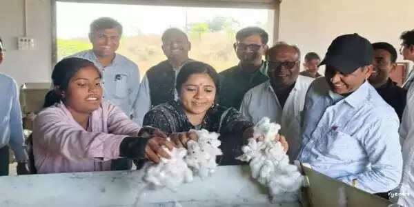 खरगोनः कलेक्टर ने विभिन्न ग्रामों का भ्रमण कर कृषि एवं उद्यानिकी की उन्नत तकनीकों का किया अवलोकन