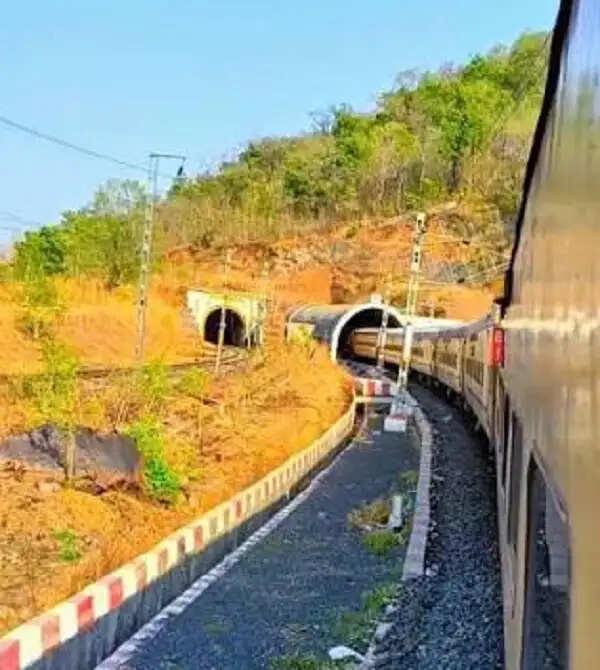 बुधनी-बरखेड़ा रेल सेक्शन में वन्यजीवों की सुरक्षा के लिए होगी दोनों ओर फेंसिंग