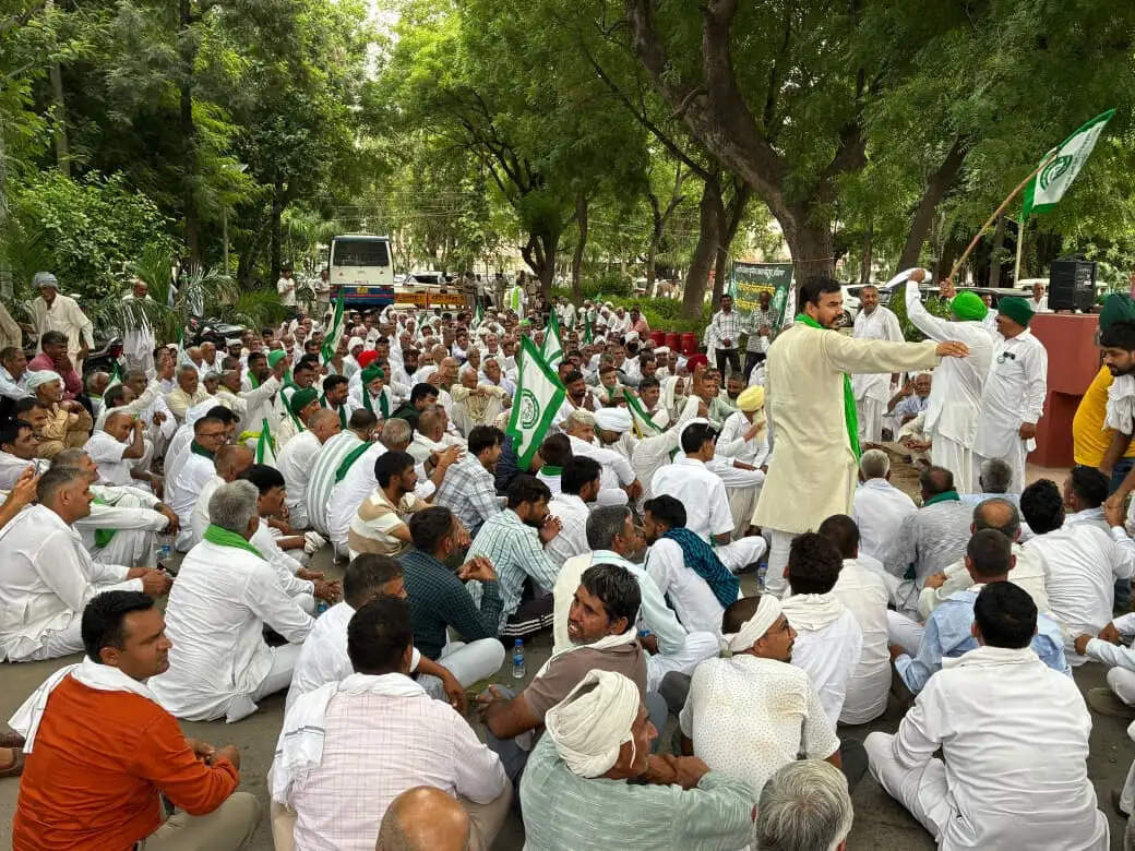 हिसार : हाईटेंशन लाइनों के मुआवजे पर भड़के किसान, दिया प्रदेशस्तरीय धरना