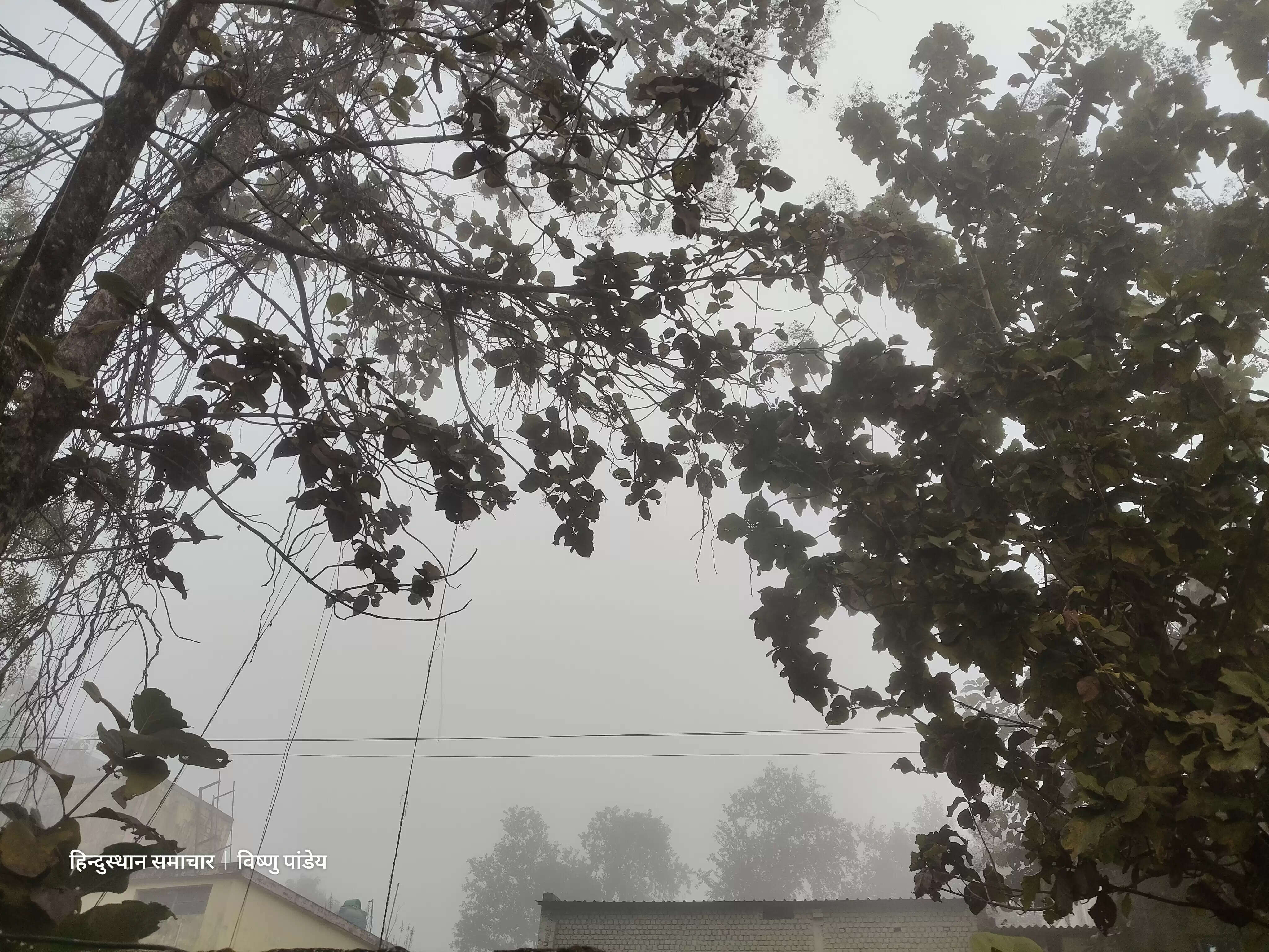 बलरामपुर : धूप के बाद कोहरे की चादर, रामानुजगंज में बढ़ी ठंड, दृश्यता शून्य