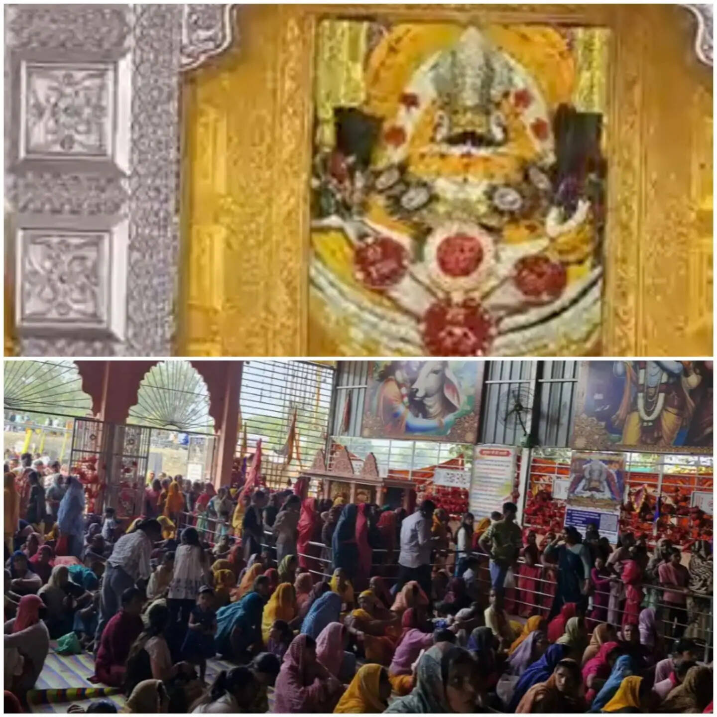 राजगढ़ःएकादशी पर्व पर बाबा श्याम के दर्शन के लिए उमड़ी भीड़, निकाली निशान यात्रा