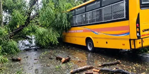 रांची में तेज आंधी-बारिश के बीच स्कूल बस पर गिरा पेड़, बाल-बाल बचे बच्चे
