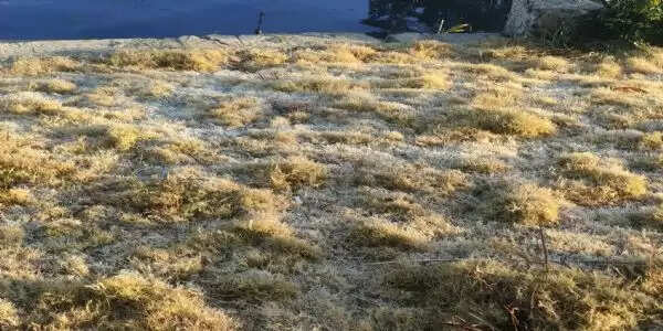 अनूपपुर: अमरकंटक में जमी ओस की बूंदें: नए वर्ष पर शीतलहर के बीच नर्मदा दर्शन को पहुंचे श्रद्धालु