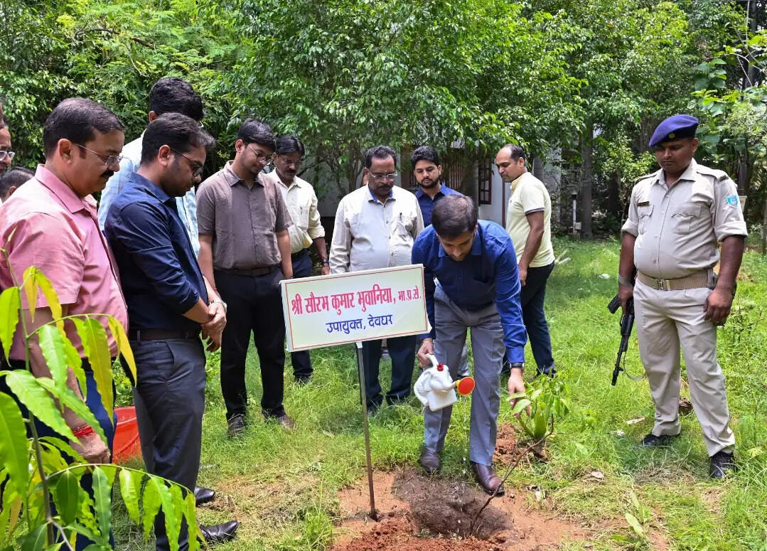विश्व पर्यावरण दिवस पर उपायुक्त ने लगाया लीची का पौधा