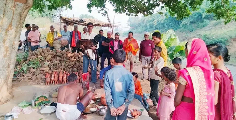 यदुवंशियों ने पारंपरिक गाजे बाजे के साथ की बीर कुंवर बाबा की पूजा